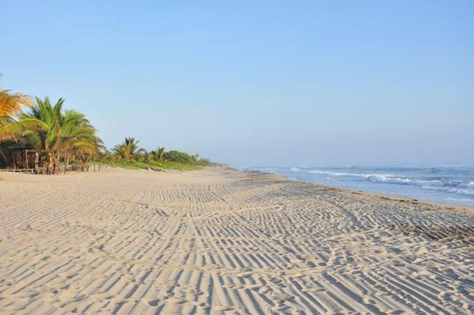 Tornabé Honduras Shores Plantation Tela Beach酒店 外观 照片
